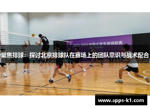 聚焦排球：探讨北京排球队在赛场上的团队意识与战术配合