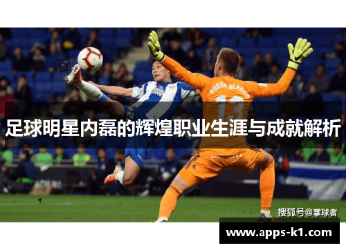 足球明星内磊的辉煌职业生涯与成就解析